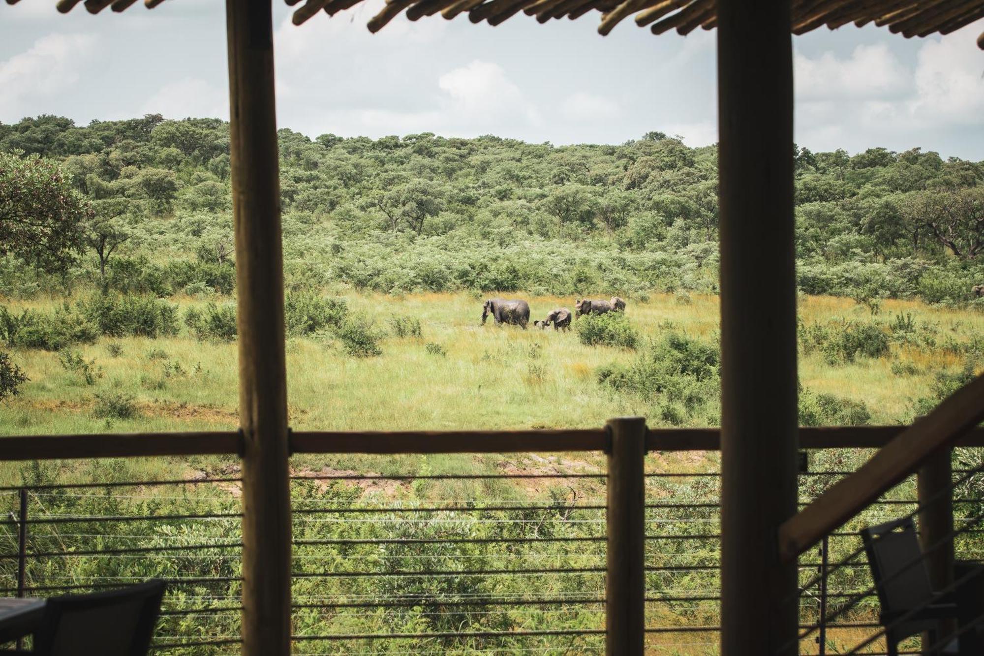 Mdluli Safari Lodge 雾观 外观 照片